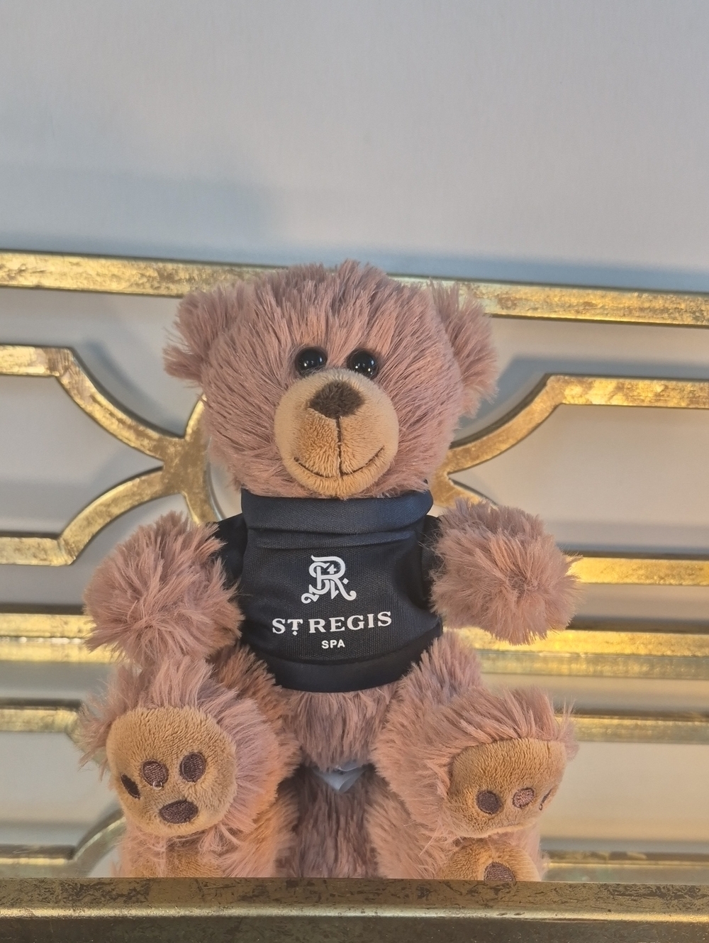 St Regis Spa Teddy Bear Plush, 6", Brown + Black.
